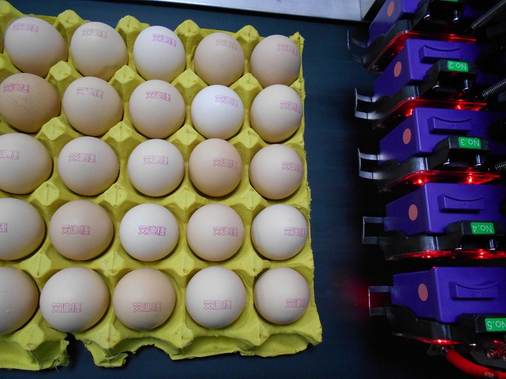鸡蛋喷码样例